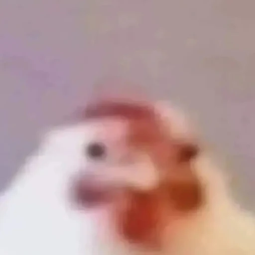 greg