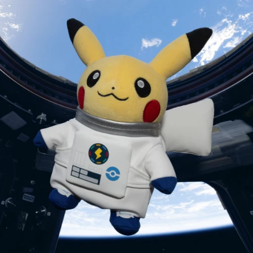 PIKAMOON