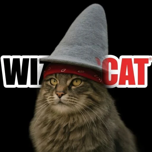 WIZARDCAT