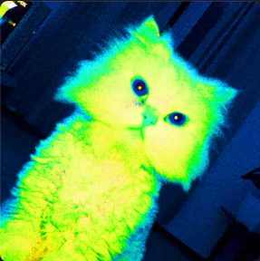qcat